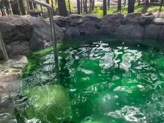 -金孔雀温泉旅游度假村