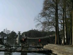 -东湖落雁景区