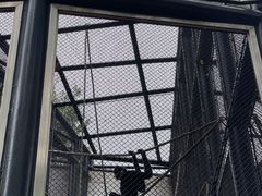 -石排湾郊野公园