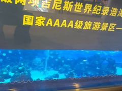 -成都浩海立方海洋公园