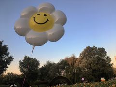 -长白岛森林公园