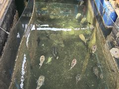 -蓝湾碧波·老字号·疍家非遗海上餐厅