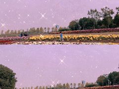 -花博汇(知音花月夜)