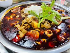 -佘记全家福芋儿鸡(向阳街总店)