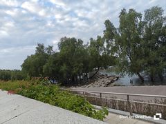 -宝安西湾红树林湿地公园