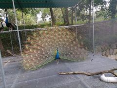 -福建鲤鱼洲酒店