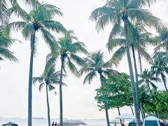 -珍宝海鲜(东海岸海鲜中心)