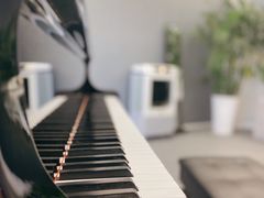 -Melody Mentor音乐私教馆(朝外·悠唐店)