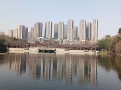 -重庆彩云湖湿地公园