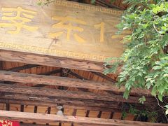 -李东农庄(中南百草园地标店)