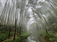 -蜀南竹海景区