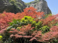 -雁荡山风景名胜区