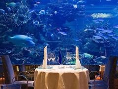 -迪拜帆船酒店海底餐厅