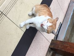 iphone_upload_pic-银满斗(步行街总店)