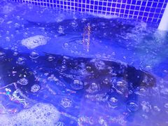 -潇湘码头·鲜湘菜(清河店)