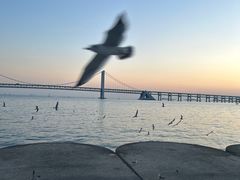 -星海广场