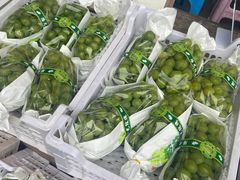-双福水果批发市场