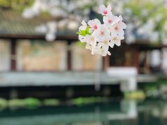 -苏堤停车场
