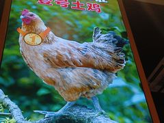 -顺德公广东猪肚鸡·煲仔饭(白石洲店)
