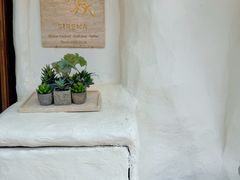 -Sirena海妖日咖夜酒