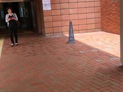 -香港大学