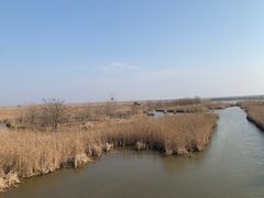 -盐城丹顶鹤湿地生态旅游区