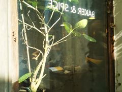 -BAKER&SPICE(安福路店)