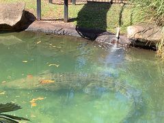 -可伦宾野生动物保护区