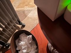 -东莞松山湖凯悦酒店