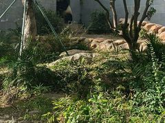 -石排湾郊野公园
