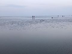 -南汇嘴观海公园