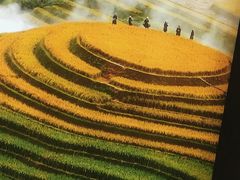 -湘邻呷铺·田园家宴(汉基广场店)