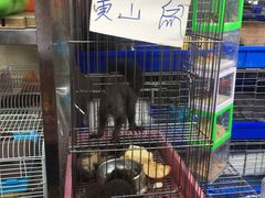 -万商花鸟市场