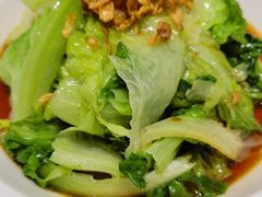 -西贝莜面村(赛格国际购物中心店)