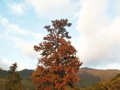 -塔川景区