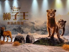 -SFC上影影城(港汇永华IMAX激光店)