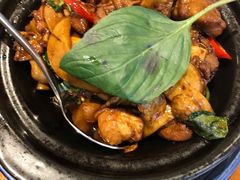 宝島雞-芒果爆爆(东海缤纷店)