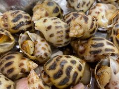 -宜宾海鲜酒家·三十年老字号