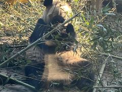 -辛玛王国游乐园