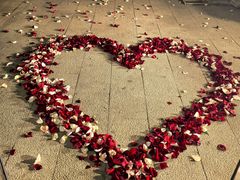 -成桂西餐厅·42年的味道(五大道疙瘩楼店)