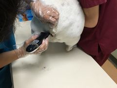-宠颐生中康贝怡动物医院