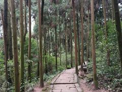 -青城山