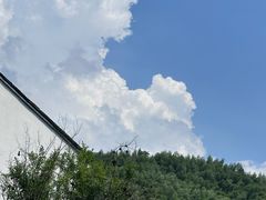 -鹿亭中村