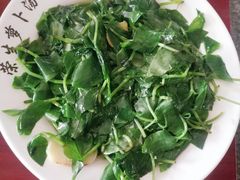-荣生萝卜汤饭店