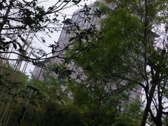 -唐城墙遗址公园