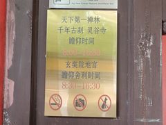 -灵谷景区