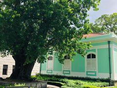 -龙环葡韵住宅式博物馆