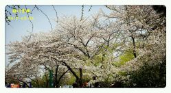 -晴川假日酒店·宴会厅·会议厅