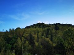 -宁海安岚·南溪阁全日餐厅