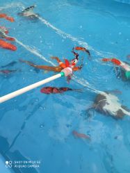 -萌宠亲子动物乐园(槐房万达店)